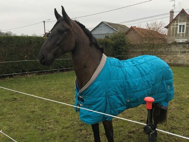 Imagen de los exteriores del Le Prieuré Saint Paul. Foto 12