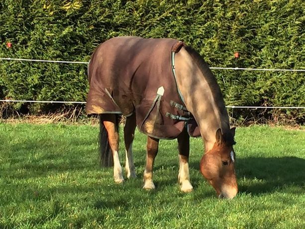 Imagen de los exteriores del Le Prieuré Saint Paul. Foto 13