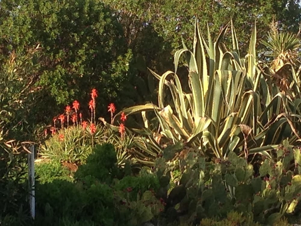 Imagen de la habitación del Le Stanze Sul Mare. Foto 18