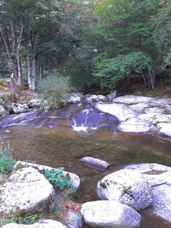 Imagen general del Le pont du moulin. Foto 1
