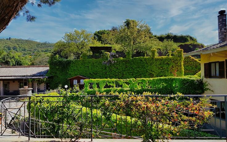 Imagen general del Le vigne, Bolsena. Foto 15