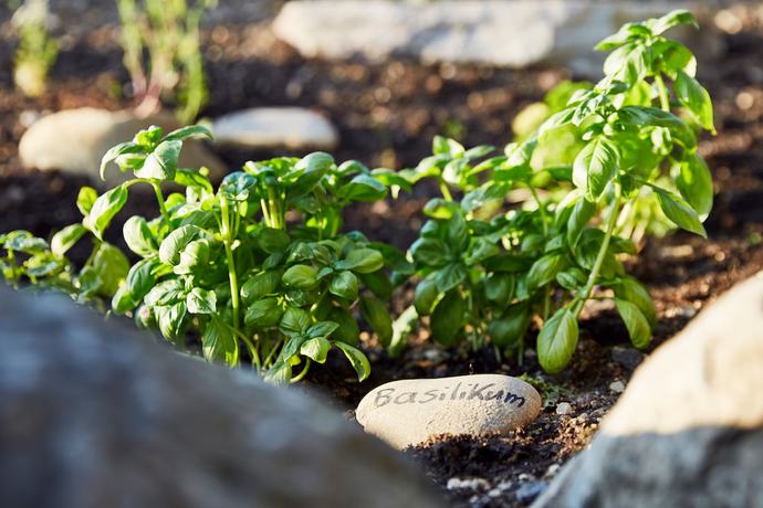 Imagen de la habitación del Légère Hotel Wiesbaden-taunusstein. Foto 18