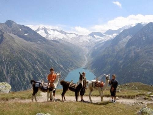 Imagen general del Lebensquelle Krapfenhof. Foto 3