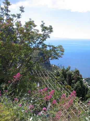 Imagen general del L'eco Dell'800. Foto 2