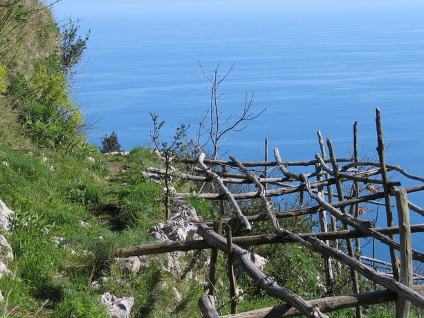 Imagen general del L'eco Dell'800. Foto 14