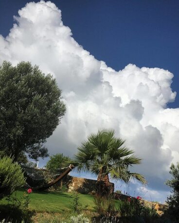 Imagen general del Lefkofris Hotel. Foto 10