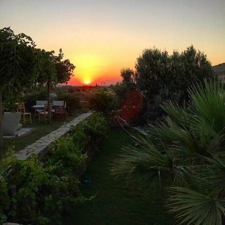 Imagen general del Lefkofris Hotel. Foto 15