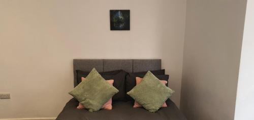 Imagen general del Leicester City Apartments. Foto 13