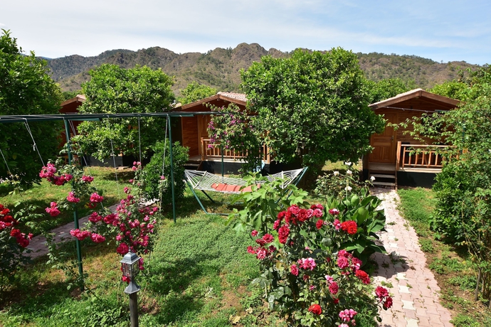 Imagen de los exteriores del Lemon Garden Lodge. Foto 19