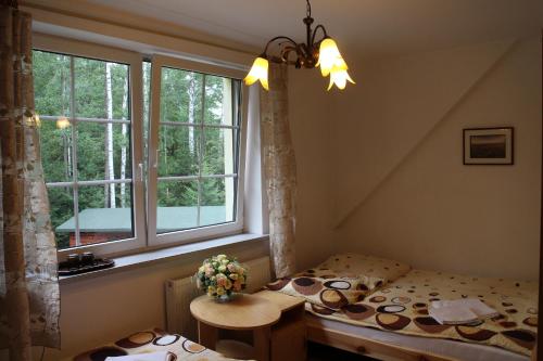 Imagen de la habitación del Leśny Dworek. Foto 10