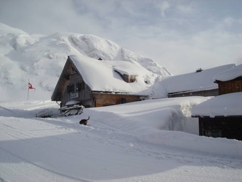 Imagen general del Lenzbauerh&uuml;tte. Foto 6