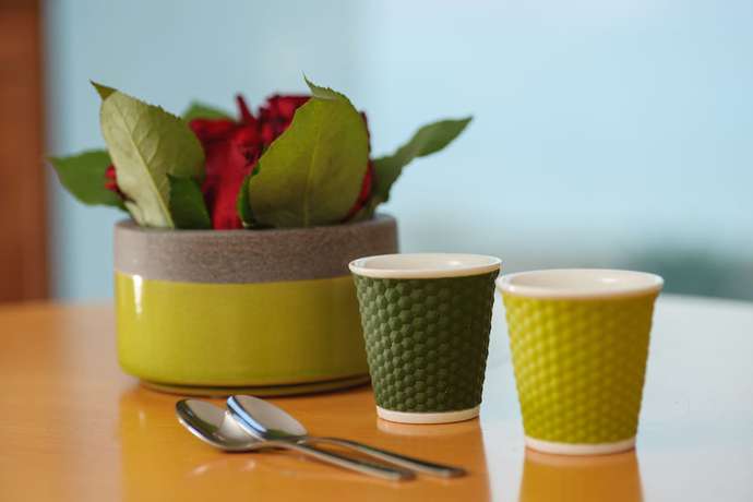 Imagen de la habitación del Leonardo Plaza Dead Sea. Foto 18