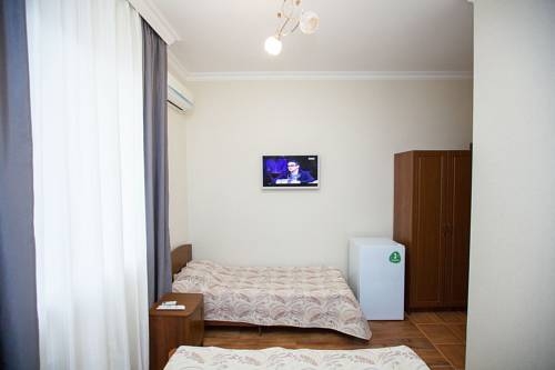 Imagen general del Leonidas. Foto 3