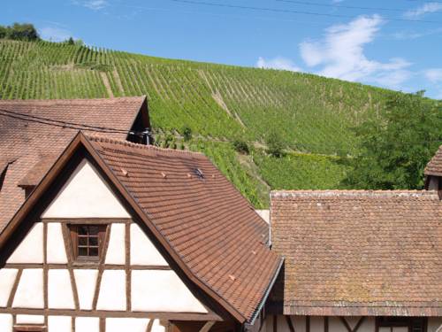 Imagen general del Les Ambrades Riquewihr. Foto 1