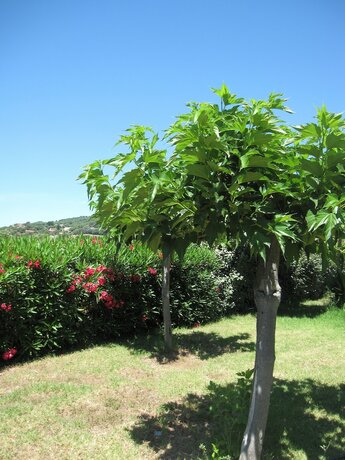 Imagen general del Les Belles Ombres. Foto 9