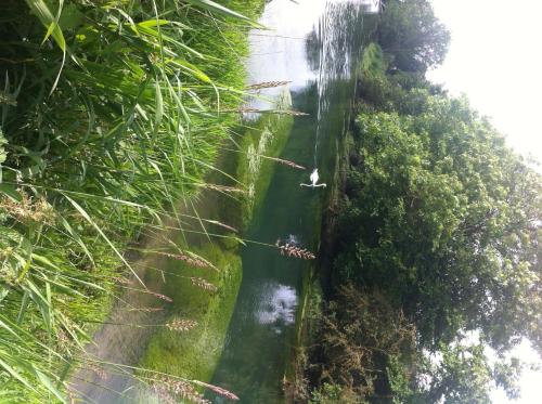 Imagen general del Les Fregates. Foto 2