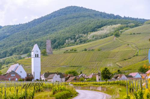 Imagen de la habitación del Les Gîtes De La Mère Michèle. Foto 13