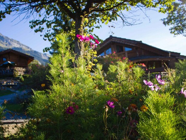 Imagen general del Les Greniers du Mont Blanc. Foto 18
