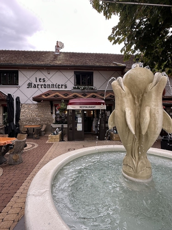 Imagen de los interiores del Les Marronniers d\'Arc. Foto 15