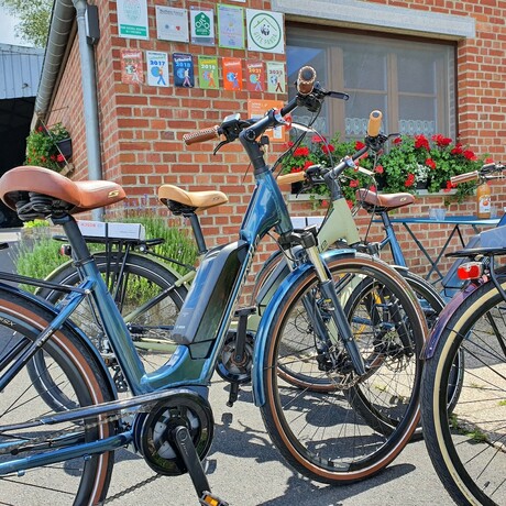 Imagen general del Les Mout'Anes. Foto 6