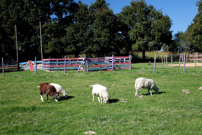 Imagen de los exteriores del Les P'tites Maisons Dans La Prairie. Foto 15
