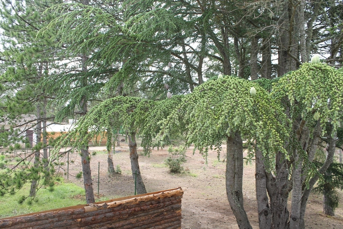 Imagen de los exteriores del Les Salons Du Bastier. Foto 10