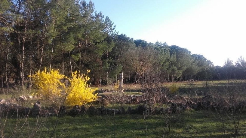 Imagen de los exteriores del Les Salons Du Bastier. Foto 15