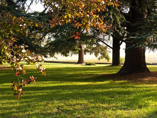 Imagen de los exteriores del Les Secrets Château Pey La Tour. Foto 5