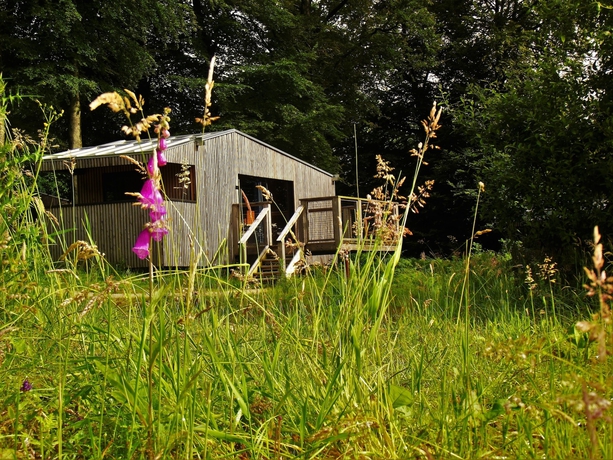 Imagen de la habitación del L'etape En Foret. Foto 12