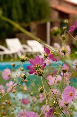 Imagen general del Leyenda Posada. Foto 16