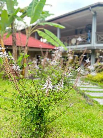 Imagen general del LiLLA Hilltop Retreats Janda Baik. Foto 1