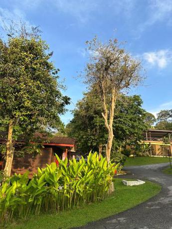 Imagen general del LiLLA Hilltop Retreats Janda Baik. Foto 6