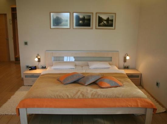 Imagen de la habitación del Libava. Foto 4