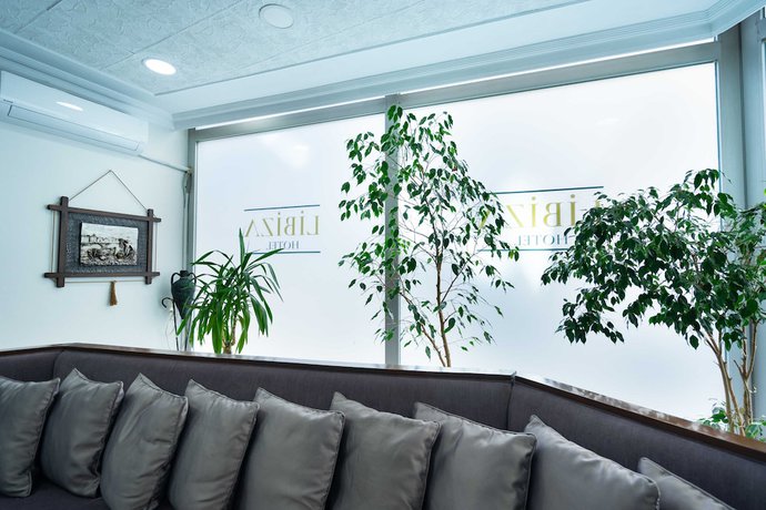 Imagen de los interiores del Libiza Hotel. Foto 16