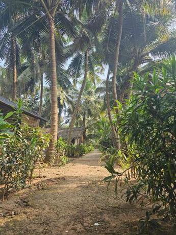 Imagen general del Lighthouse Cafe and Beach House. Foto 3