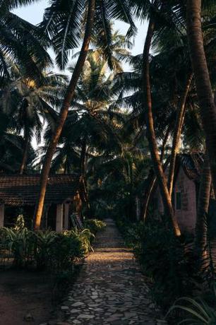 Imagen general del Lighthouse Cafe and Beach House. Foto 8