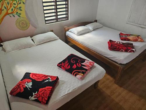 Imagen general del Lighthouse Cafe and Beach House. Foto 14