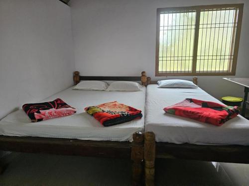 Imagen general del Lighthouse Cafe and Beach House. Foto 15