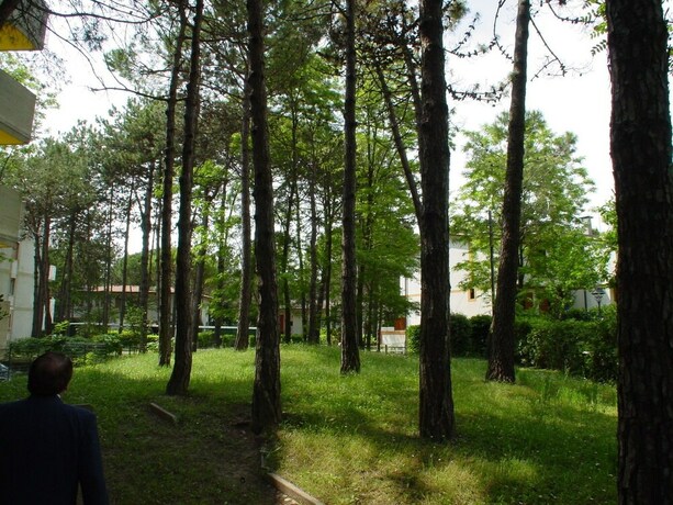 Imagen general del Lignano. Foto 8