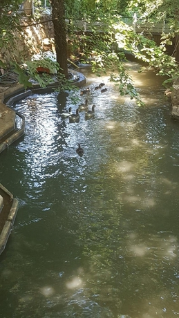 Imagen de la piscina del Likya Saklibahce. Foto 12