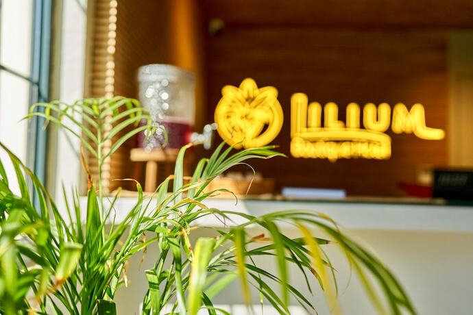 Imagen general del Lilium Boutique Hotel. Foto 10