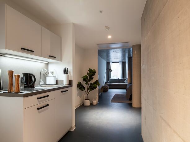 Imagen general del Limehome Erfurt Maximilian-Welsch-Str.. Foto 1