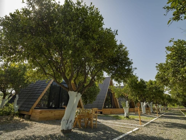 Imagen de los exteriores del Limon Datca. Foto 14