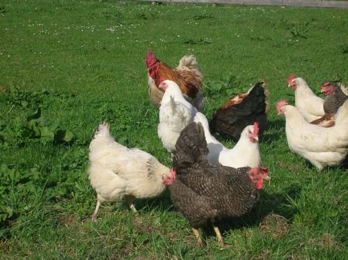 Imagen general del Lindenhof, Kitzbuhel. Foto 14