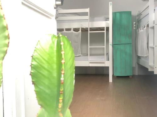 Imagen de la habitación del Lion Hostel By Rebels kiteschool. Foto 12