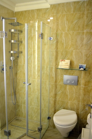 Imagen de la habitación del Litov Hotel. Foto 8