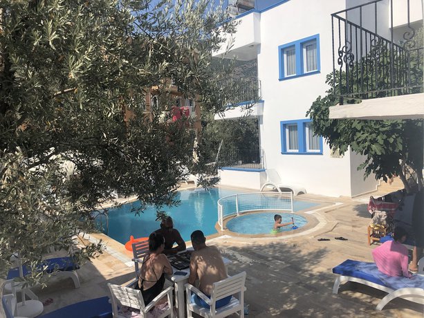 Imagen de la piscina del Lizo Hotel. Foto 18