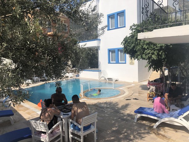 Imagen de la piscina del Lizo Hotel. Foto 19