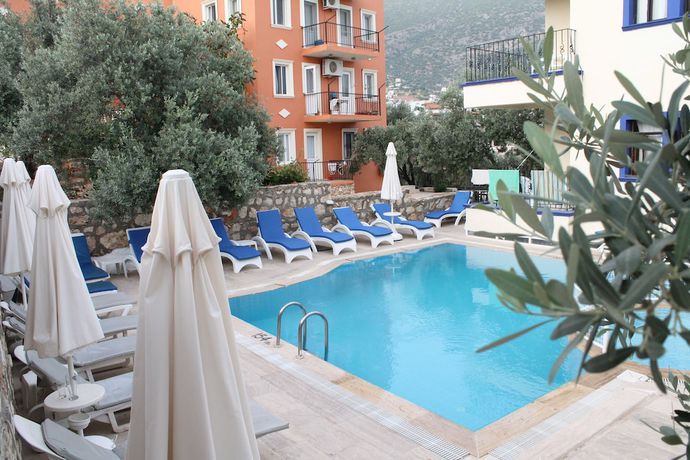 Imagen de la piscina del Lizo Hotel. Foto 20