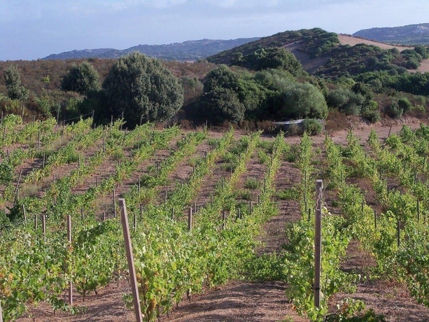 Imagen general del Locanda In Vigna. Foto 1